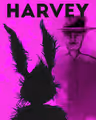 Harvey in Chicago
