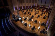 In Focus: Dance & Drama