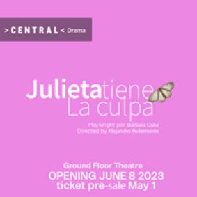 Julieta Tiene la Culpa show poster