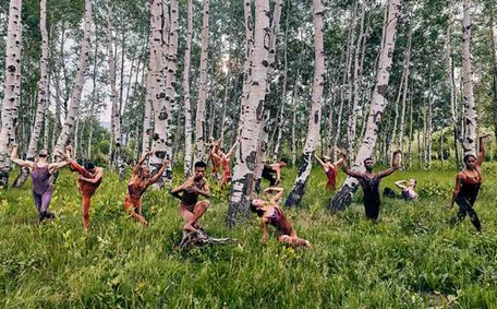 Limón Dance Company show poster