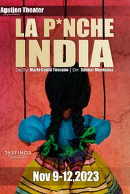 La p*nche india show poster