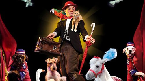 Popovich Comedy Pet Theater show poster