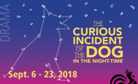 The Curious Incident of the Dog in the Night-Time show poster