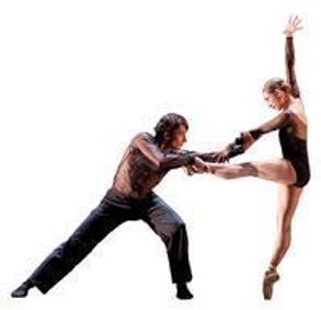 Director's Choice show poster