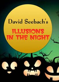 David Seebach: Illusions In The Night show poster
