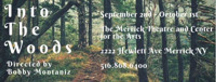 Into The Woods show poster