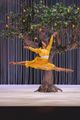 Collage Dance Collective: 