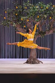 Collage Dance Collective: show poster