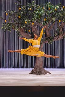 Collage Dance Collective: 