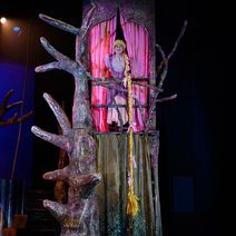 Theater Terra: Rapunzel the Musical