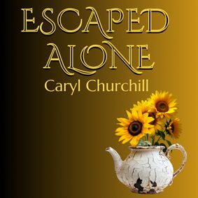 Escaped Alone show poster