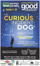 The Curious Incident of the Dog in the Night-Time show poster