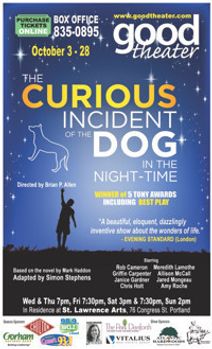 The Curious Incident of the Dog in the Night-Time
