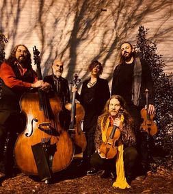 Feed Your Senses LIVE featuring Alchemical String Theory show poster