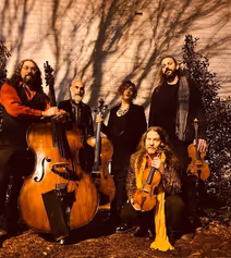 Feed Your Senses LIVE featuring Alchemical String Theory