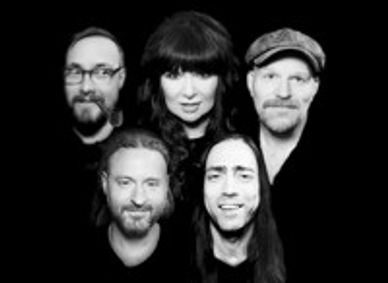 Ann Wilson show poster