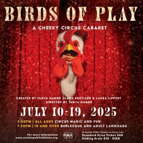 Birds of Play show poster