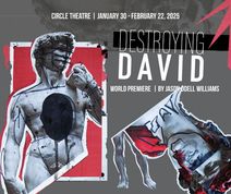 Destroying David by Jason Odell Williams