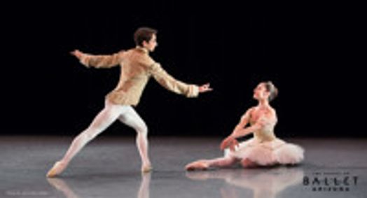 The Sleeping Beauty show poster