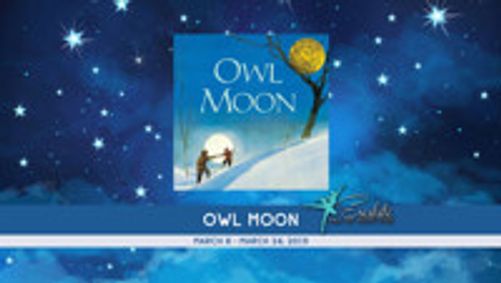 OWL MOON show poster