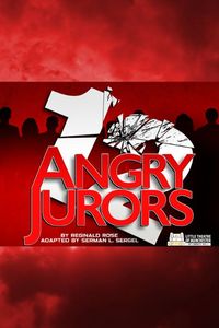 Twelve Angry Jurors