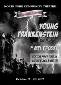 Young Frankenstein