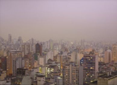 Chosen Memories: Contemporary Latin American Art from the Patricia Phelps de Cisneros Gift and Beyond show poster