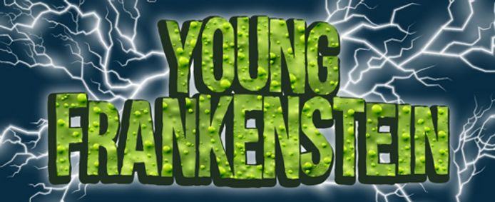 Young Frankenstein show poster
