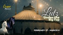 Cirque Ma'Ceo LIVE in Lutz - Feb 27 - Mar 8, 2026 in Orlando