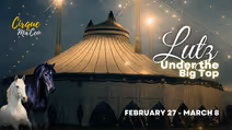 Cirque Ma'Ceo LIVE in Lutz - Feb 27 - Mar 8, 2026