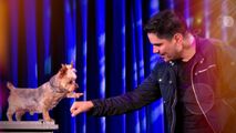 Poconos Illusion Show – Jason Bishop - Tannersville Pa 10/31/2025 in Philadelphia