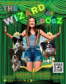 Wizard of dOgZ show poster