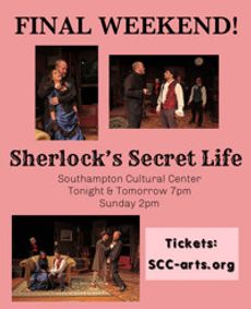 Sherlock’s Secret Life  show poster