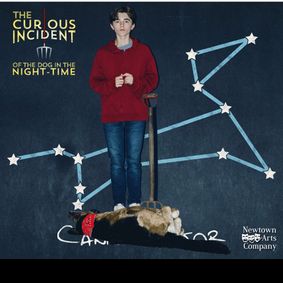 The Curious Incident of the Dog in the Night-Time show poster