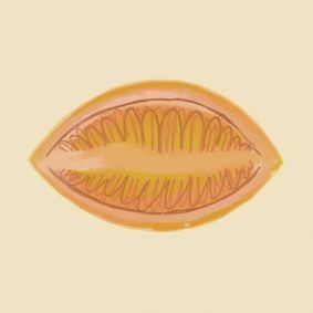 Bitter Visions: By Order of Hildegard show poster