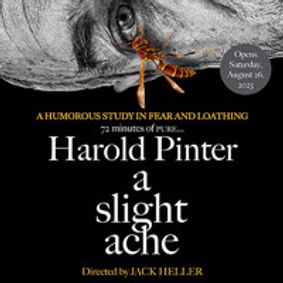 A Slight Ache show poster