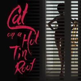 CAT ON A HOT TIN ROOF show poster