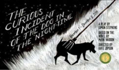 The Curious Incident of the Dog in the Night-Time show poster