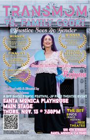 Trans Mom vs. Family Court show poster