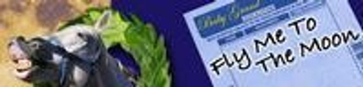 Fly Me To The Moon show poster