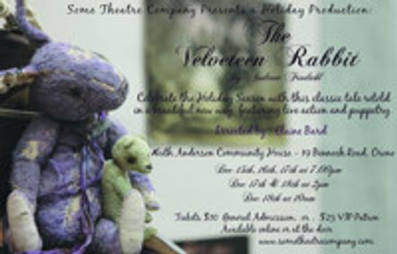 The Velveteen Rabbit show poster
