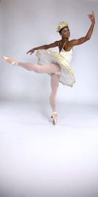 MEN IN PINK TIGHTS show poster