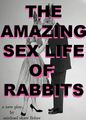 The Amazing Sex Life of Rabbits in Los Angeles