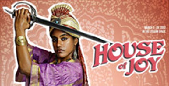 House of Joy show poster