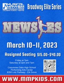 Newsies show poster