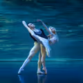 Swan Lake: International Ballet Stars in Albuquerque, NM! in Albuquerque