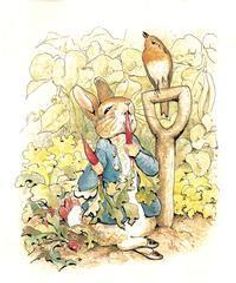 HAPPY BIRTHDAY PETER RABBIT show poster