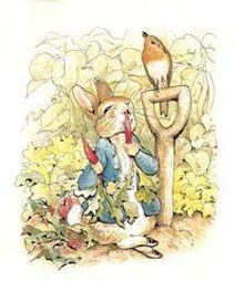 HAPPY BIRTHDAY PETER RABBIT 