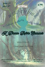 A Dream Before Summer show poster