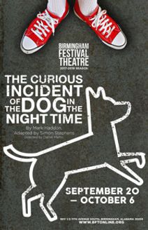 The Curious Incident of the Dog in the Night-Time 